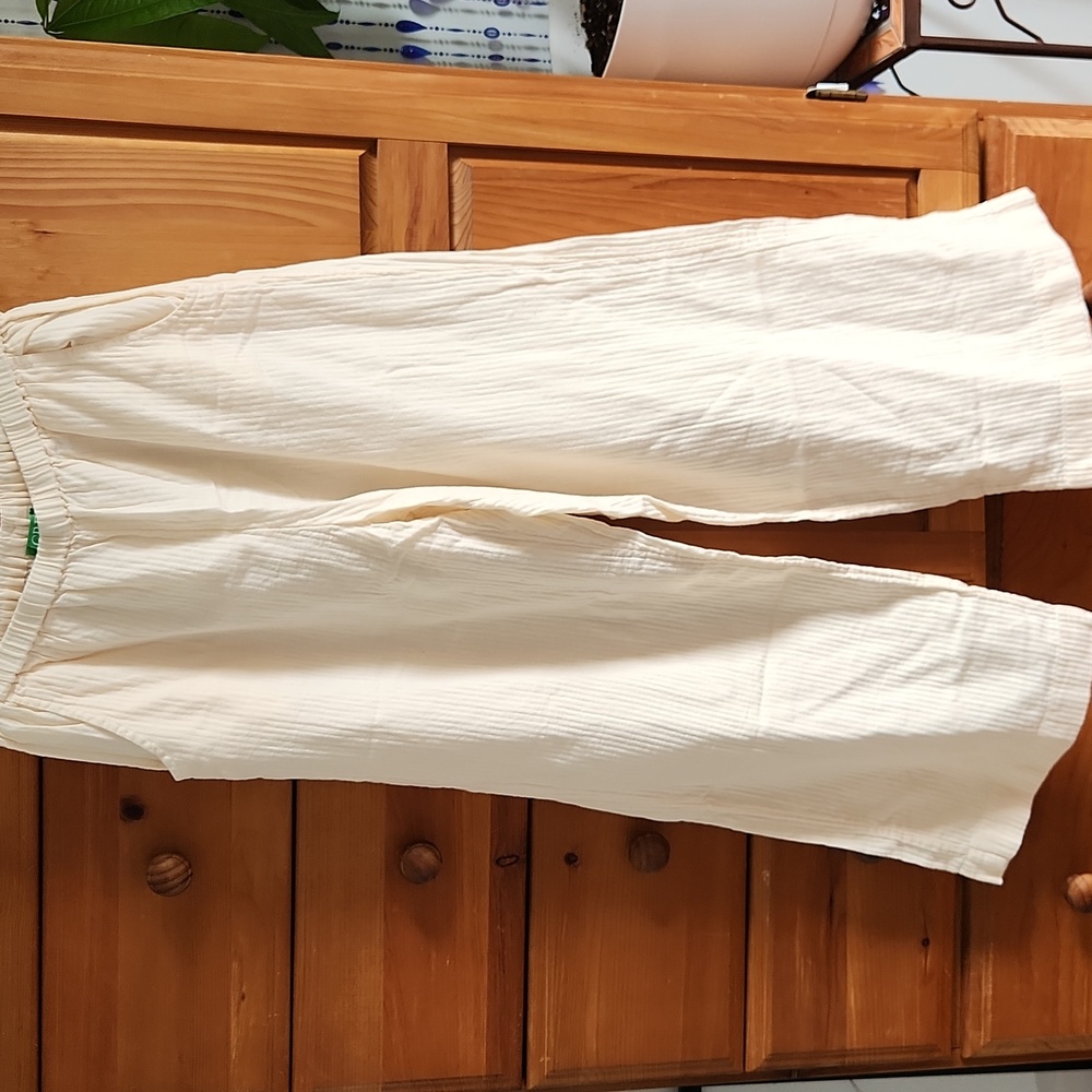 J Crew casual beach pants with elastic waist size small - Picture 2 of 5